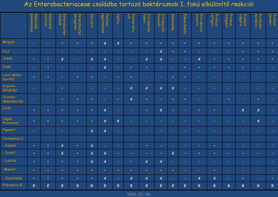 freundil Salmonella Edwardsiella Providencia stuartil Proteus rettgeri Proteus morganil Proteus vulgaris Proteums mirabilis Proteus penneri Mozgás - - + + + d d + + + + + + + + + + + H 2 S - - - - -