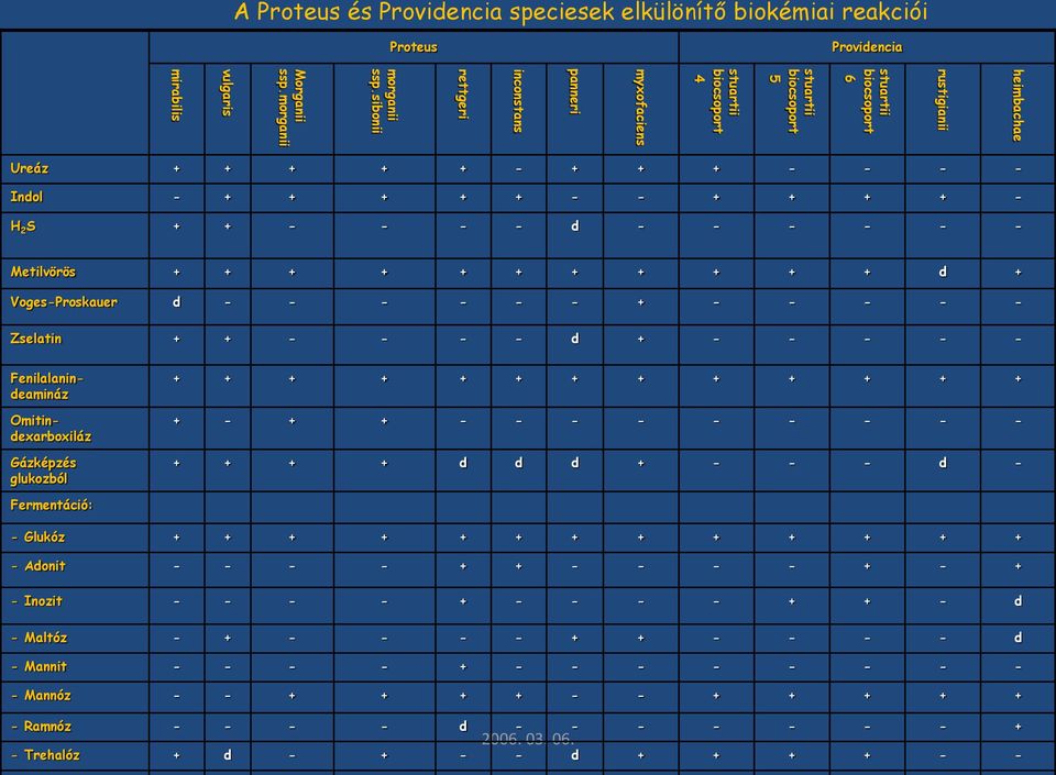 - H 2 S + + - - - - d - - - - - - Metilvörös + + + + + + + + + + + d + Voges-Proskauer d - - - - - - + - - - - - Zselatin + + - - - - d + - - - - - Fenilalanindeamináz Omitindexarboxiláz Gázképzés