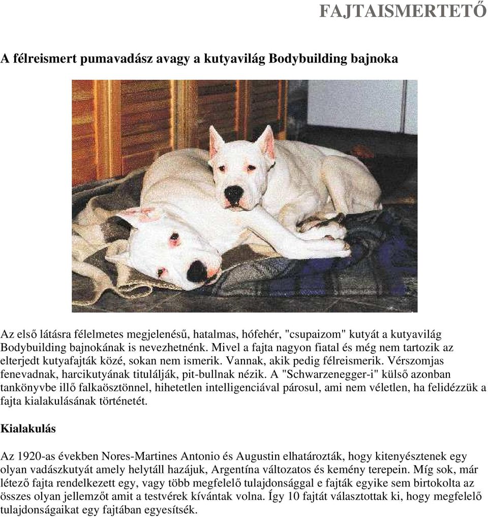 Vérszomjas fenevadnak, harcikutyának titulálják, pit-bullnak nézik.