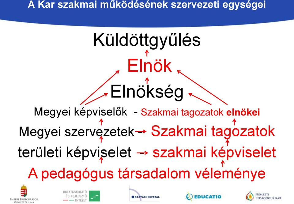 tagozatok elnökei Megyei szervezetek - Szakmai tagozatok