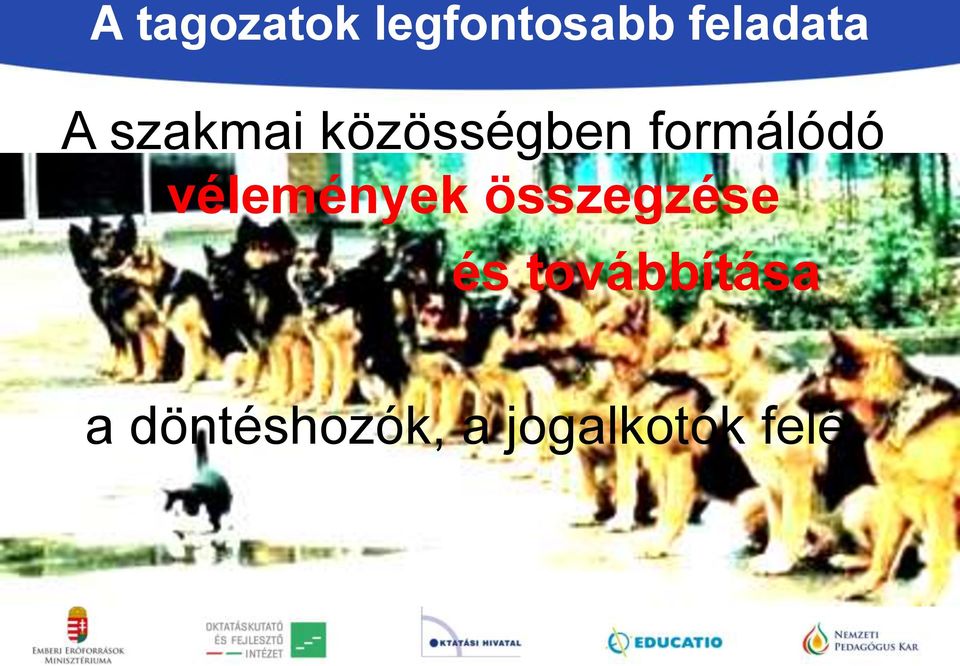 vélemények összegzése és