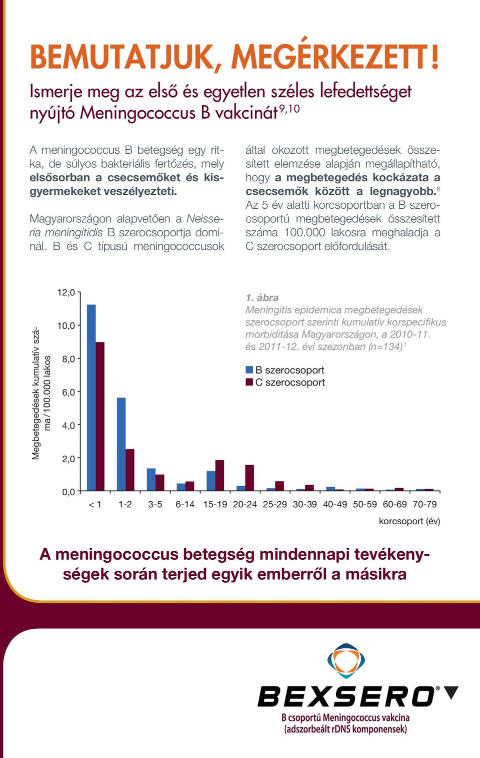 kisgyermekeket veszélyezteti. Magyarországon alapvetően a Neisseria meningitidis B szerocsoportja dominál.