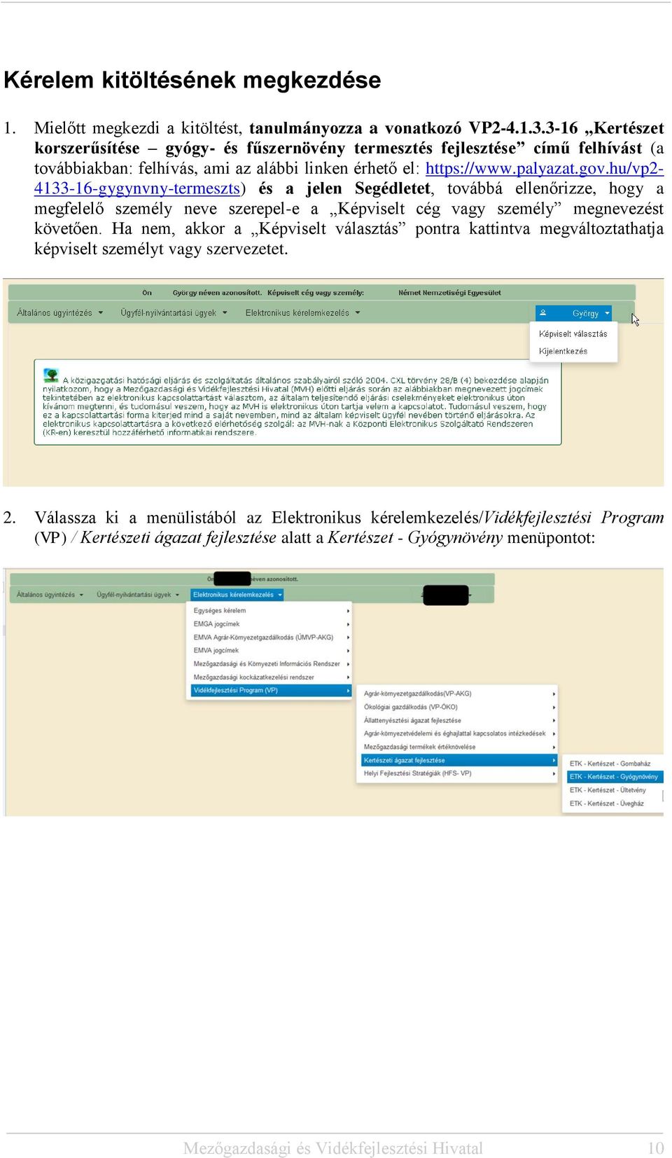 hu/vp2-4133-16-gygynvny-termeszts) és a jelen Segédletet, továbbá ellenőrizze, hogy a megfelelő személy neve szerepel-e a Képviselt cég vagy személy megnevezést követően.