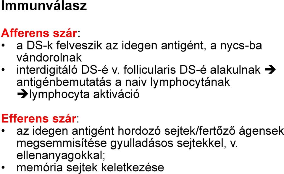 follicularis DS-é alakulnak antigénbemutatás a naiv lymphocytának lymphocyta