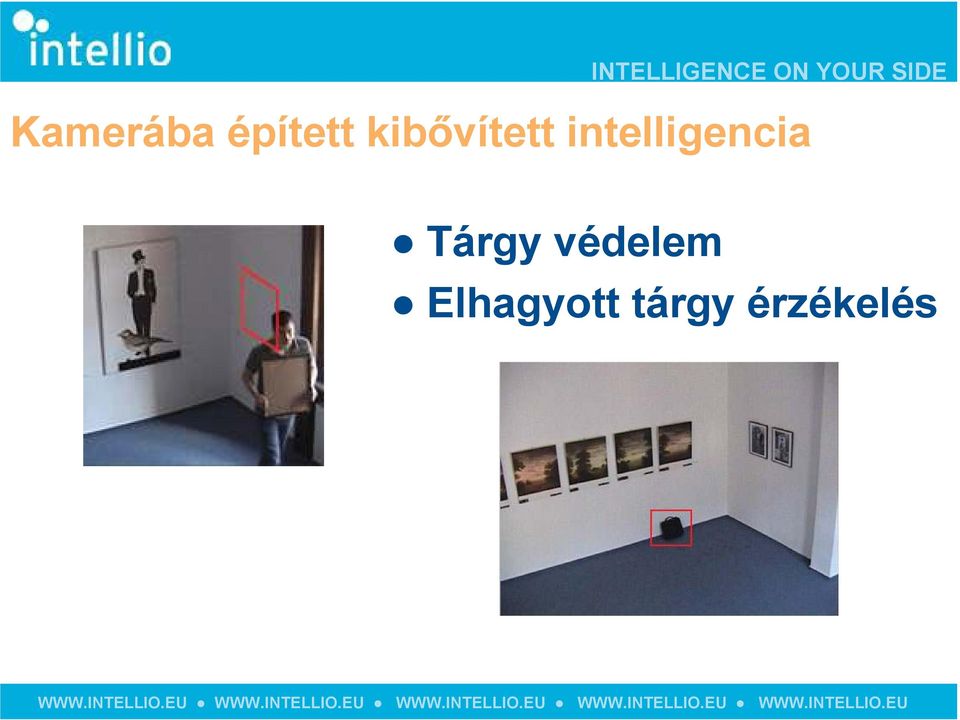 intelligencia Tárgy