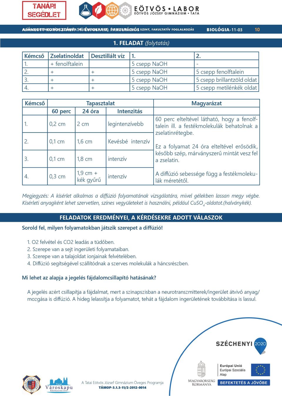 0,2 cm 2 cm legintenzívebb 60 perc elteltével látható, hogy a fenolftalein ill. a festékmolekulák behatolnak a zselatinrétegbe. 2. 0,1 cm 1,6 cm Kevésbé intenzív 3.