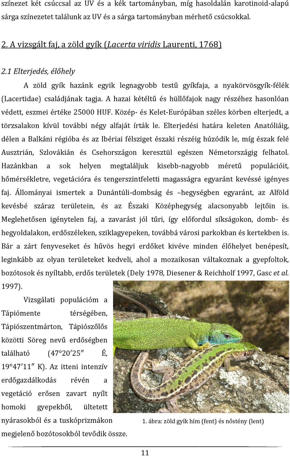 A hazai kétéltű és hüllőfajok nagy részéhez hasonlóan védett, eszmei értéke 25000 HUF. Közép- és Kelet-Európában széles körben elterjedt, a törzsalakon kívül további négy alfaját írták le.