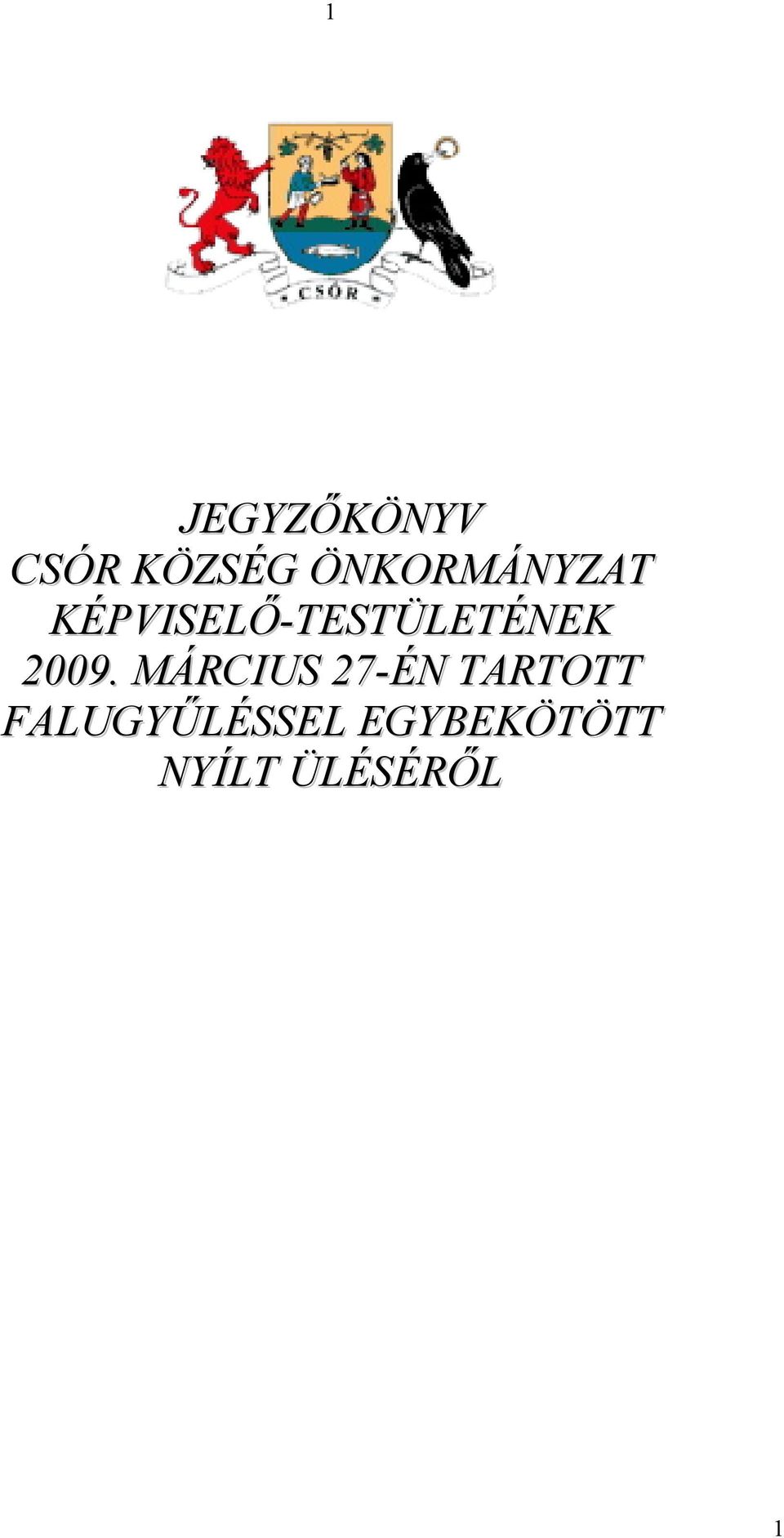 KÉPVISELŐ-TESTÜLETÉNEK 2009.