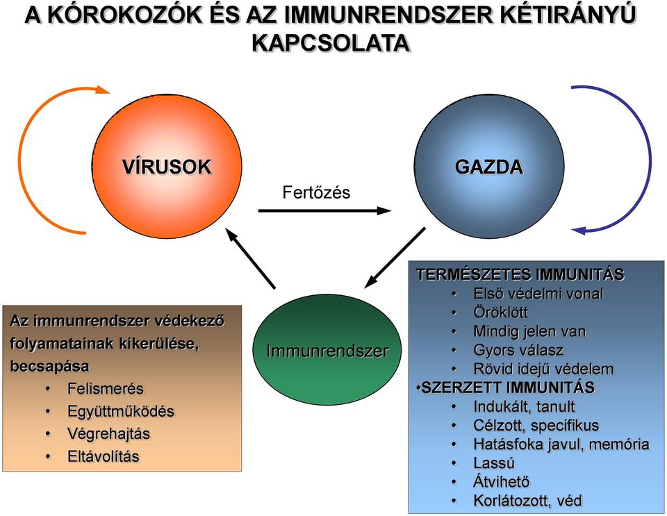 TERMÉSZETES IMMUNITÁS Első védelmi vonal Öröklött Mindig jelen van Gyors válasz Rövid idejű védelem