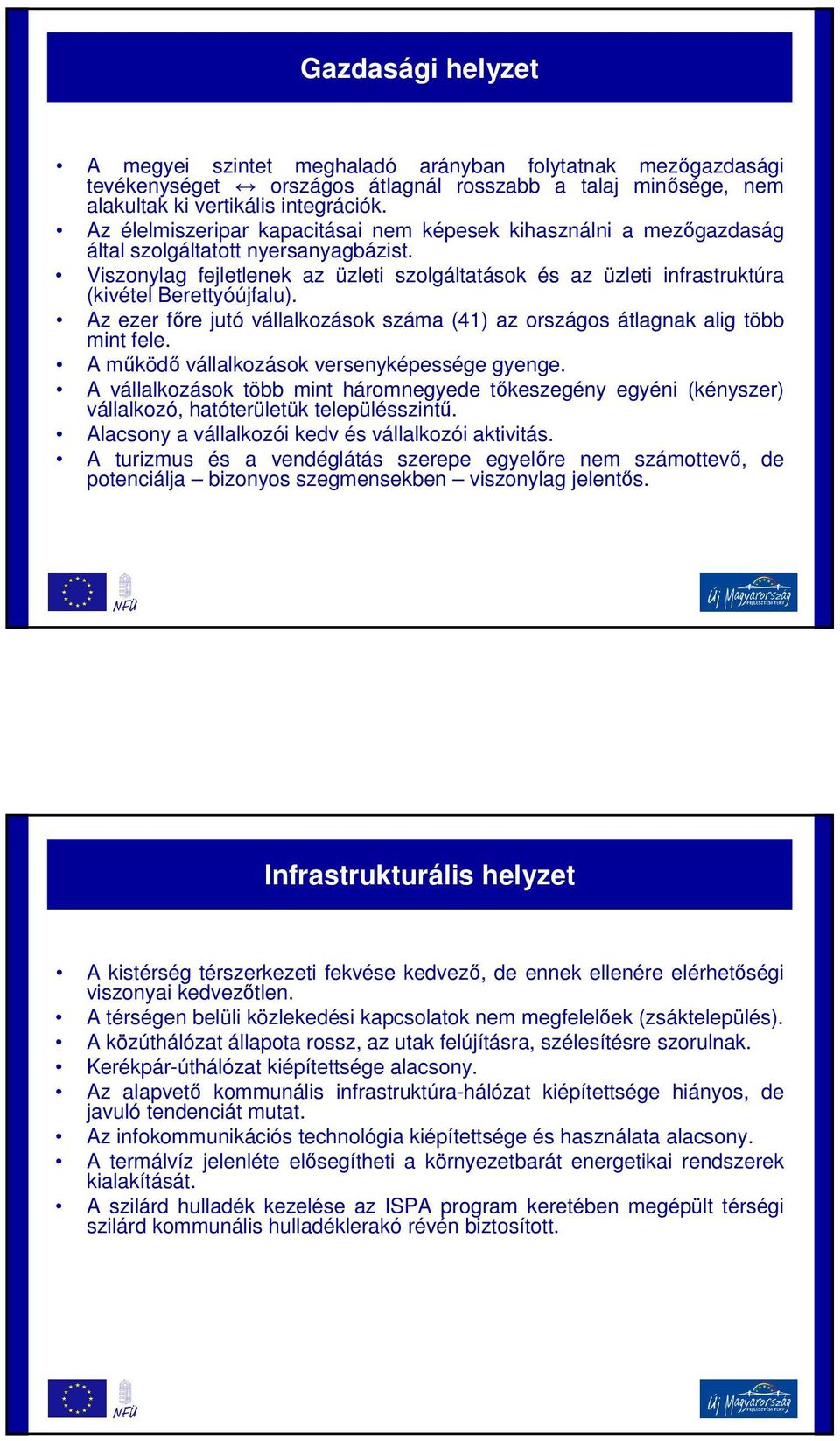 Viszonylag fejletlenek az üzleti szolgáltatások és az üzleti infrastruktúra (kivétel Berettyóújfalu). Az ezer főre jutó vállalkozások száma (41) az országos átlagnak alig több mint fele.