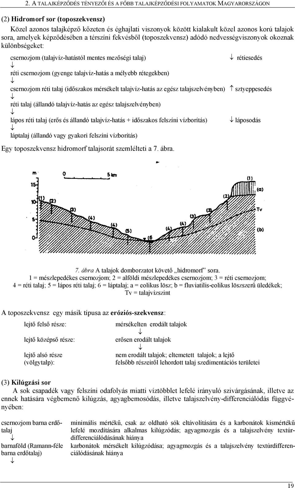 csernozjom (gyenge talajvíz-hatás a mélyebb rétegekben) csernozjom réti talaj (időszakos mérsékelt talajvíz-hatás az egész talajszelvényben) sztyeppesedés réti talaj (állandó talajvíz-hatás az egész