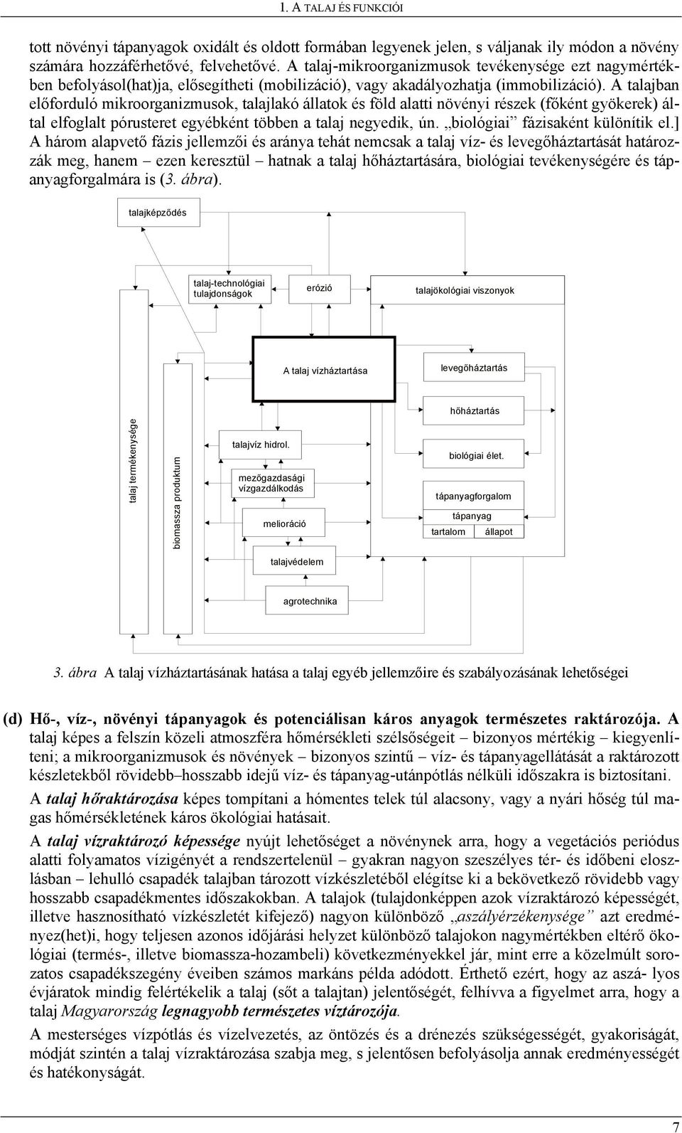 A talajban előforduló mikroorganizmusok, talajlakó állatok és föld alatti növényi részek (főként gyökerek) által elfoglalt pórusteret egyébként többen a talaj negyedik, ún.