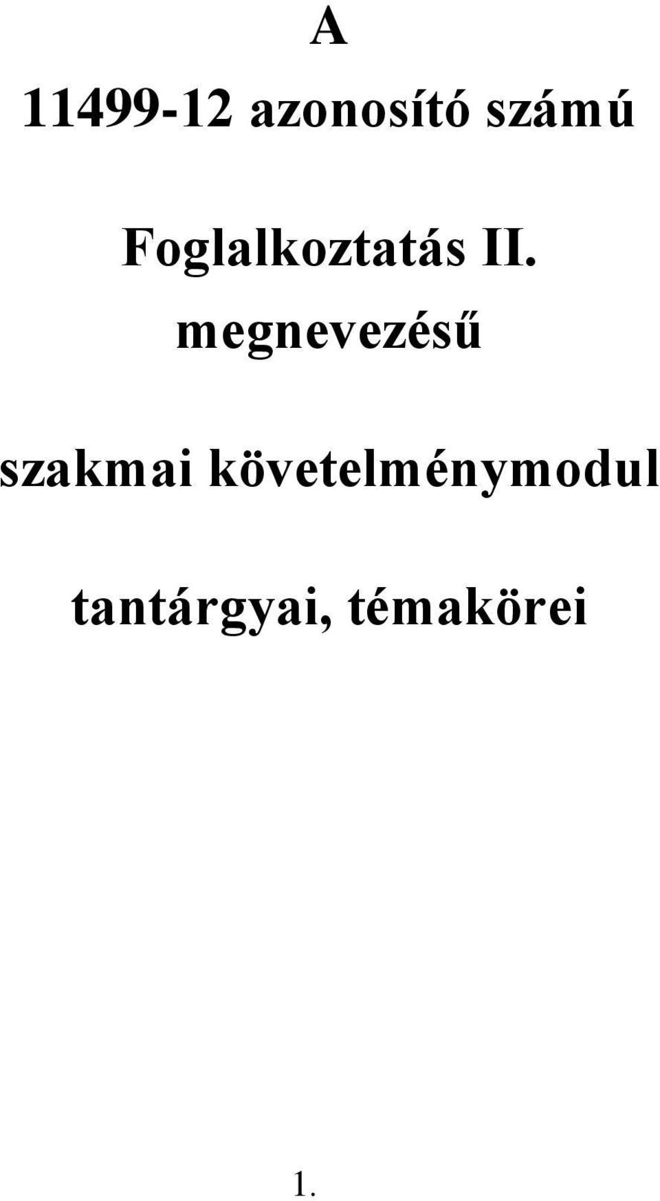 megnevezésű szakmai