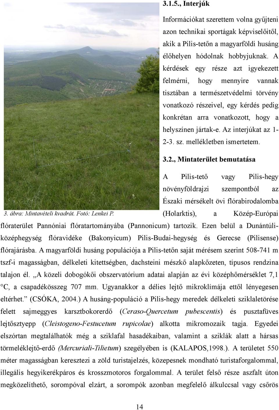 Az interjúkat az 12-3. sz. mellékletben ismertetem. 3.2., Mintaterület bemutatása A Pilis-tető vagy növényföldrajzi Pilis-hegy szempontból az Északi mérsékelt övi flórabirodalomba (Holarktis), 3.