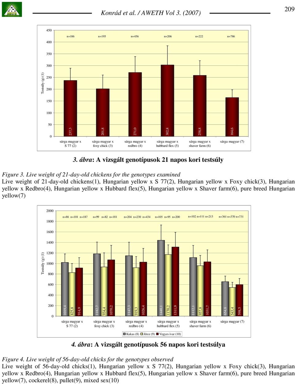 Live weight of 21-day-old chickens for the genotypes examined Live weight of 21-day-old chickens(1), Hungarian yellow x S 77(2), Hungarian yellow x Foxy chick(3), Hungarian yellow x Redbro(4),