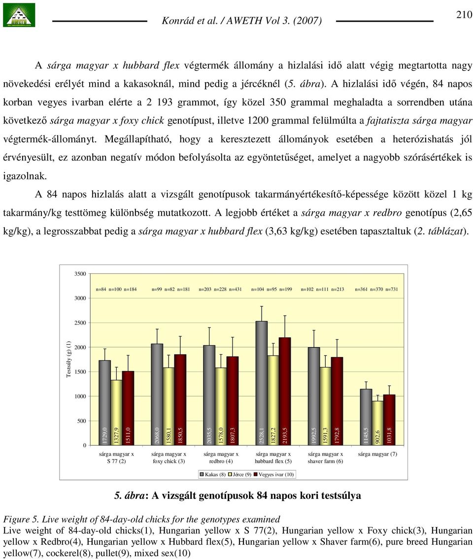 fajtatiszta sárga magyar végtermék-állományt.