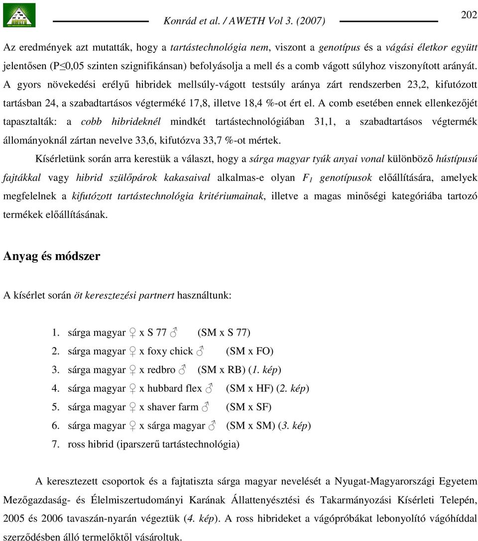 A comb esetében ennek ellenkezıjét tapasztalták: a cobb hibrideknél mindkét tartástechnológiában 31,1, a szabadtartásos végtermék állományoknál zártan nevelve 33,6, kifutózva 33,7 %-ot mértek.