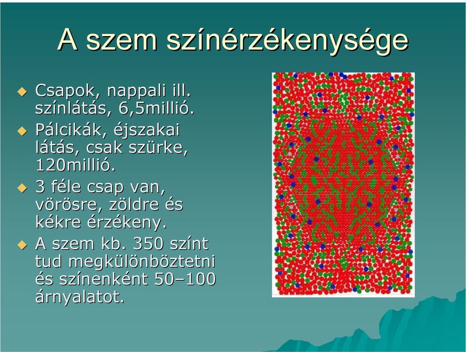 Pálcikák, éjszakai látás, csak szürke, 120millió.