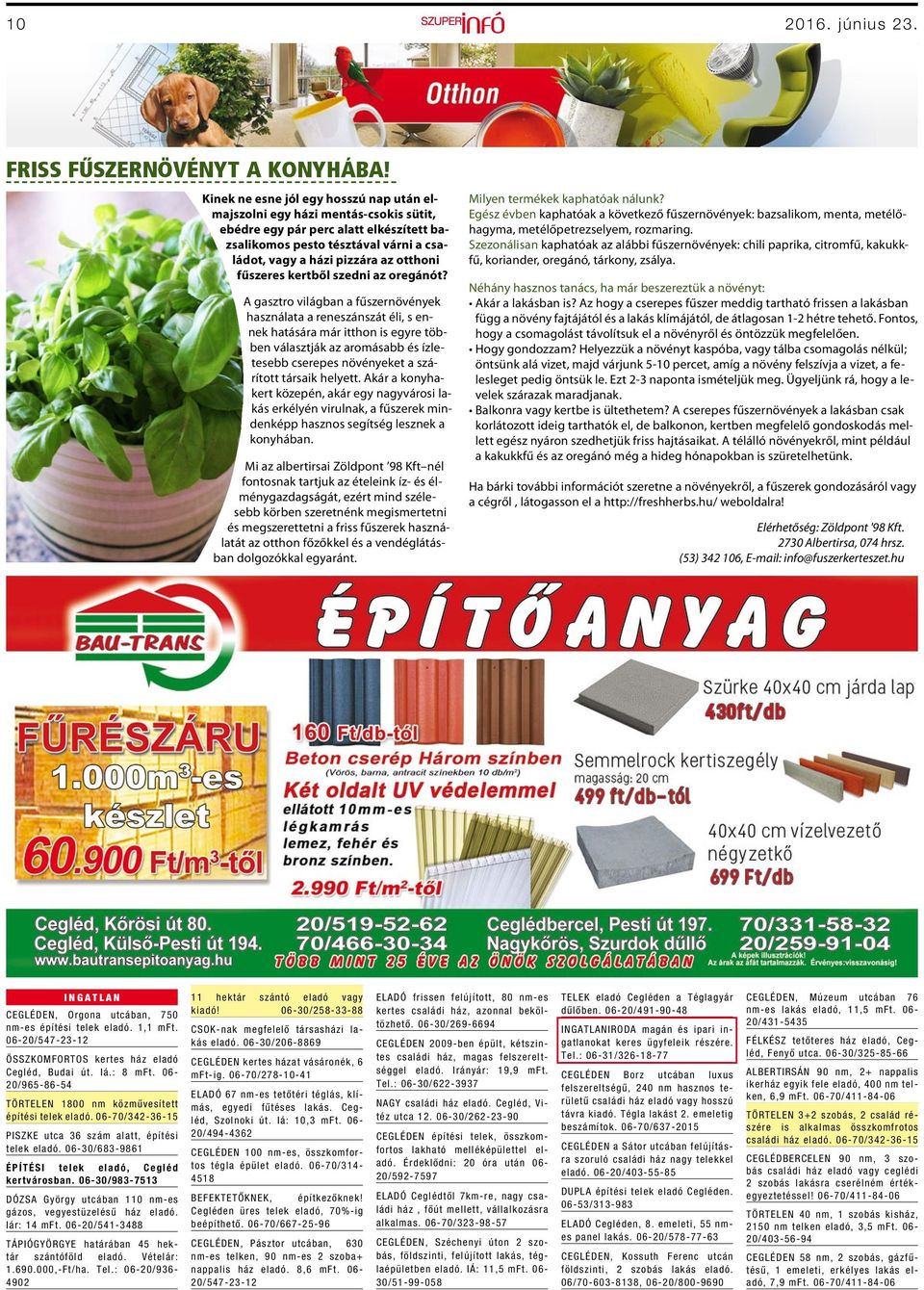 fűszeres kertből szedni az oregánót?