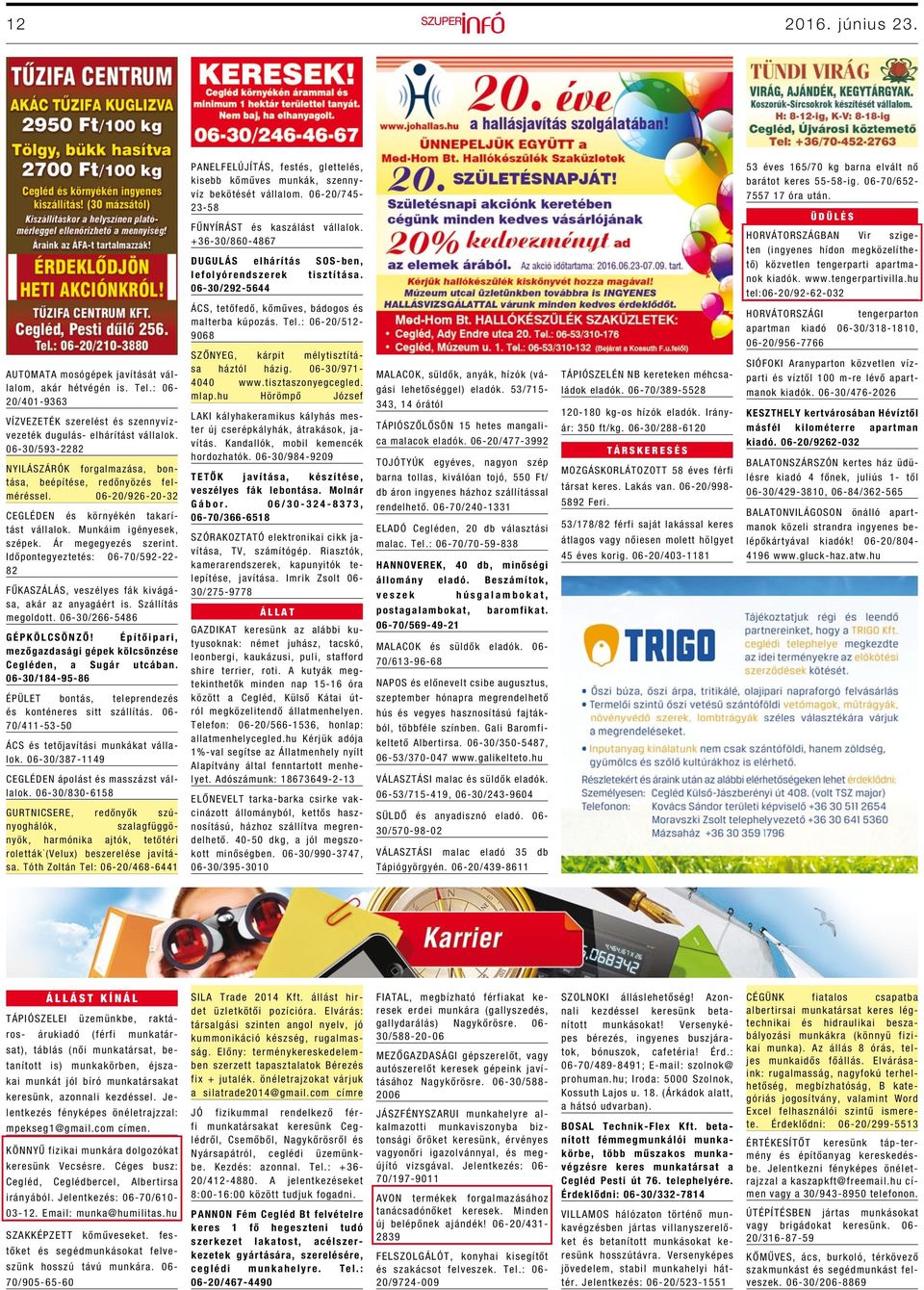 Időpontegyeztetés: 06-70/592-22- 82 FŰKASZÁLÁS, veszélyes fák kivágása, akár az anyagáért is. Szállítás megoldott. 06-30/266-5486 G É P K Ö L C S Ö N Z Ő!