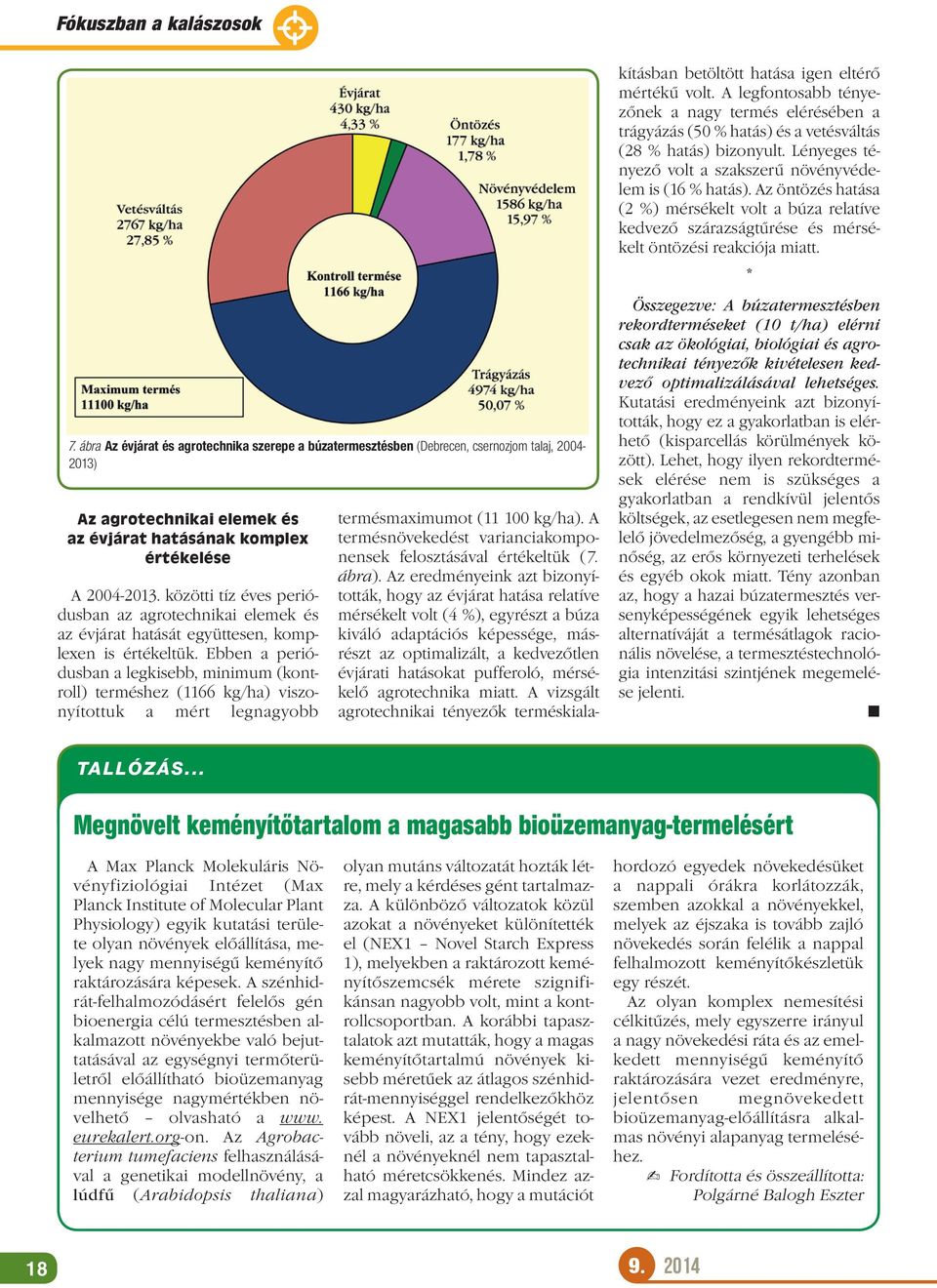 Ebben a periódusban a legkisebb, minimum (kontroll) terméshez (1166 kg/ha) viszonyítottuk a mért legnagyobb termésmaximumot (11 100 kg/ha).