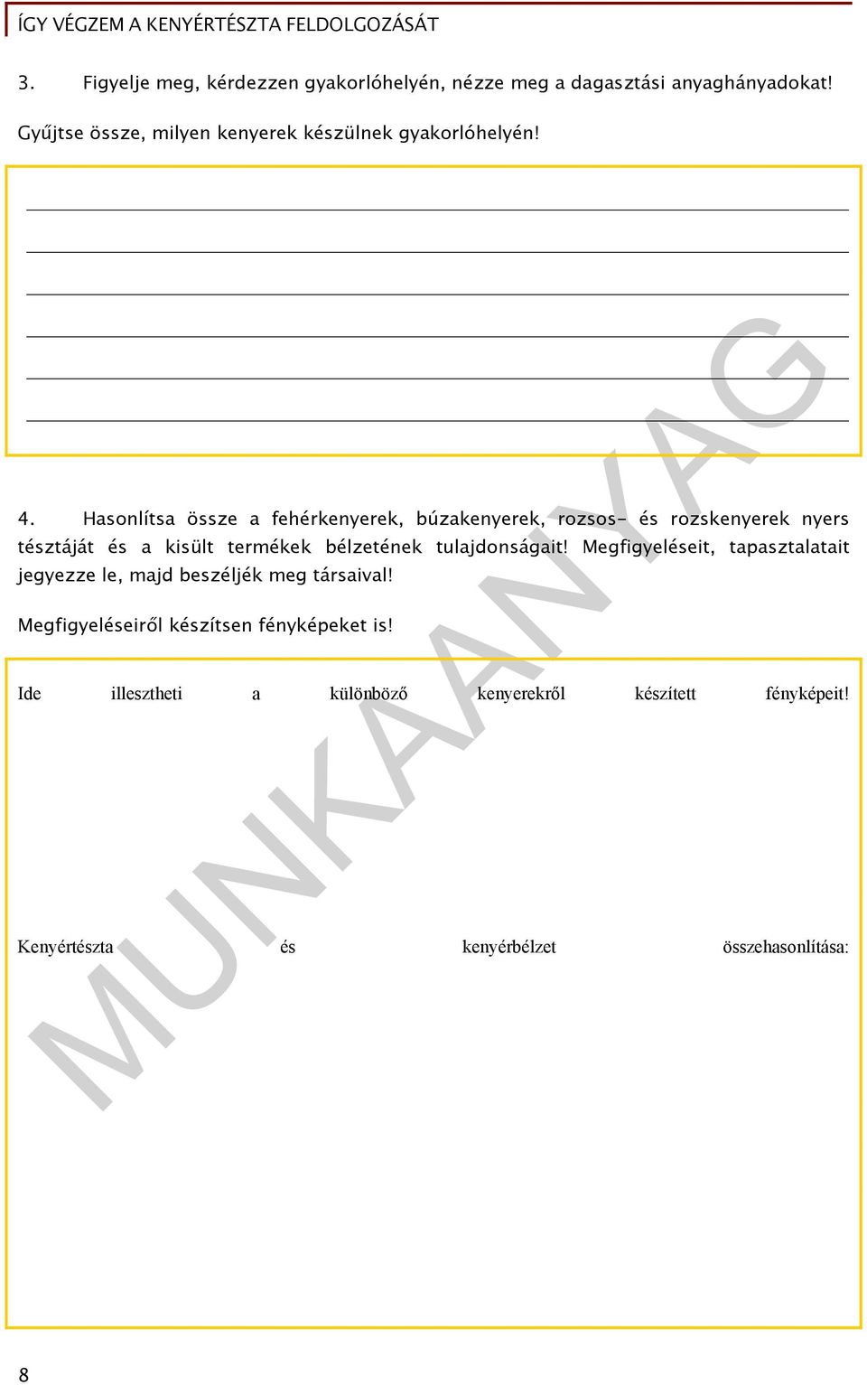 Hasonlítsa össze a fehérkenyerek, búzakenyerek, rozsos- és rozskenyerek nyers tésztáját és a kisült termékek bélzetének