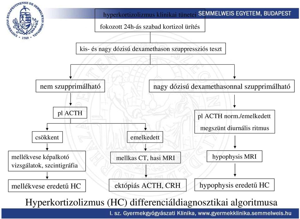 norm./emelkedett megszünt diurnális ritmus mellékvese képalkotó vizsgálatok, szcintigráfia mellkas CT, hasi MRI