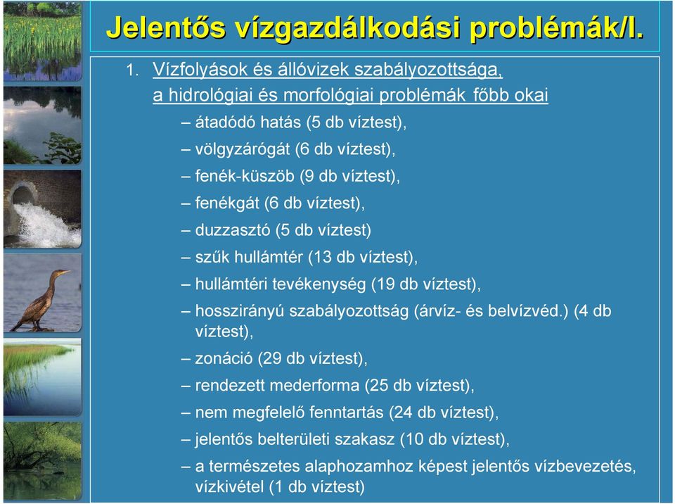 fenék-küszöb (9 db víztest), fenékgát (6 db víztest), duzzasztó (5 db víztest) szűk hullámtér (13 db víztest), hullámtéri tevékenység (19 db víztest), hosszirányú