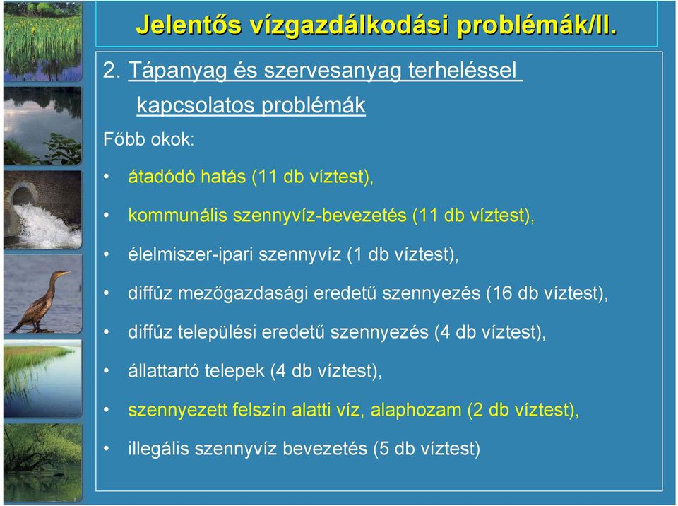 szennyvíz-bevezetés (11 db víztest), élelmiszer-ipari szennyvíz (1 db víztest), diffúz mezőgazdasági eredetű szennyezés