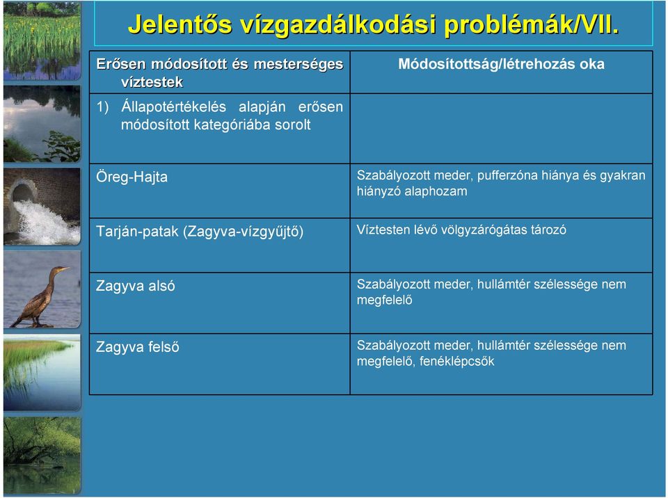 Módosítottság/létrehozás oka Öreg-Hajta Szabályozott meder, pufferzóna hiánya és gyakran hiányzó alaphozam Tarján-patak