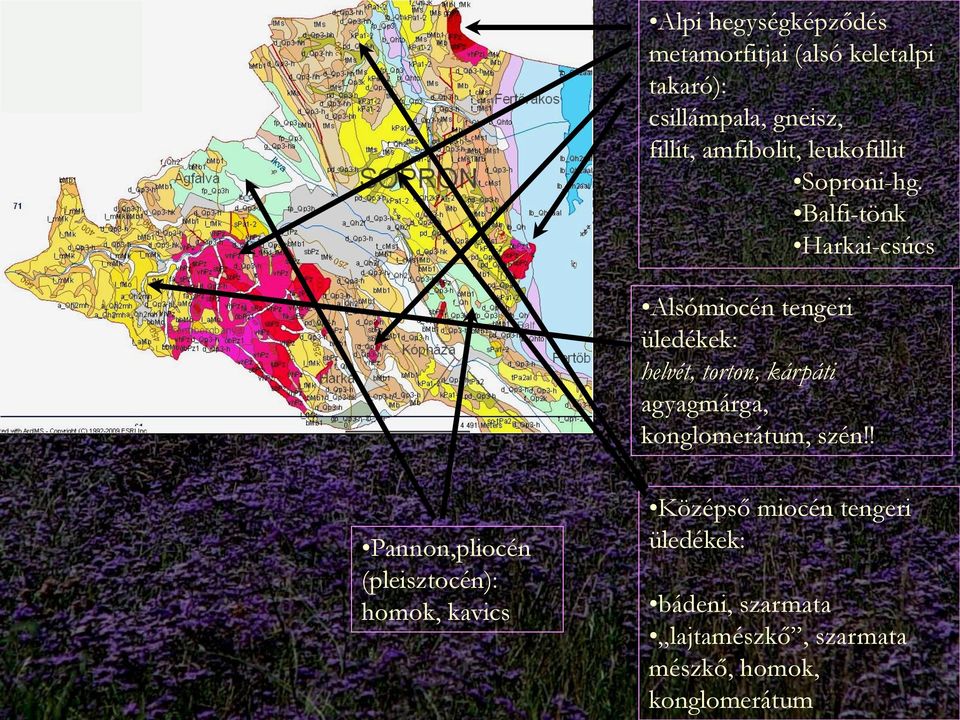 Balfi-tönk Harkai-csúcs Alsómiocén tengeri üledékek: helvét, torton, kárpáti agyagmárga,