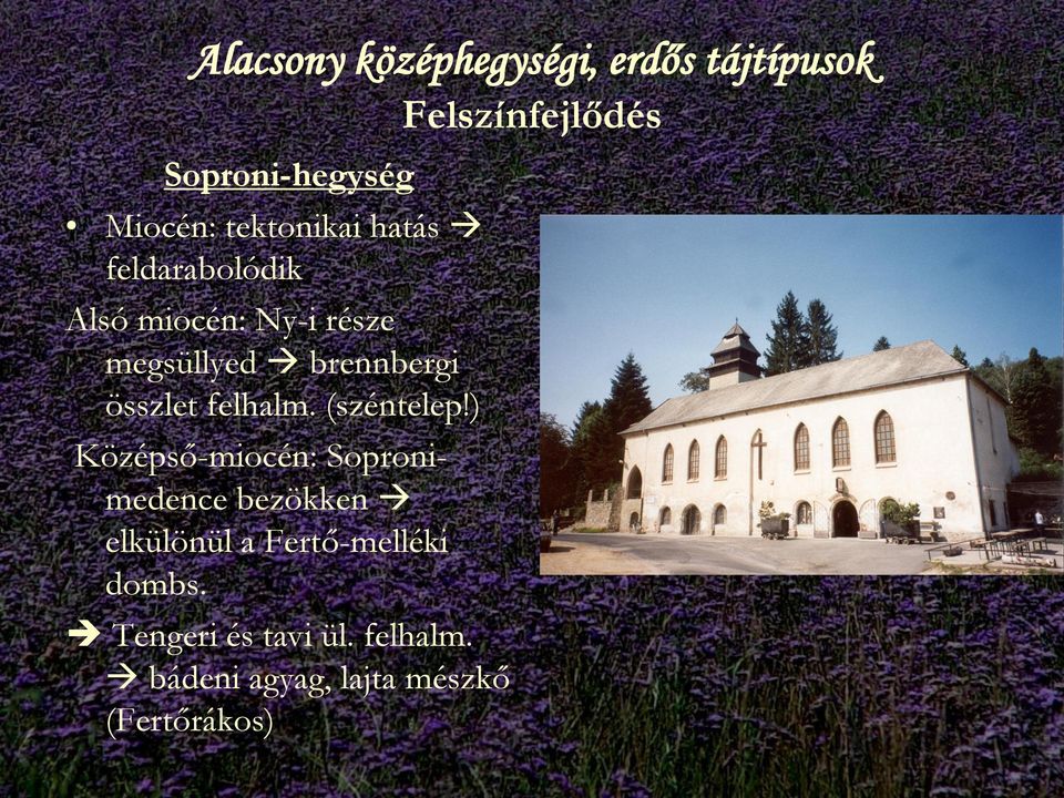 összlet felhalm. (széntelep!