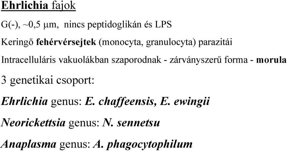 szaporodnak - zárványszerű forma - morula 3 genetikai csoport: Ehrlichia genus: