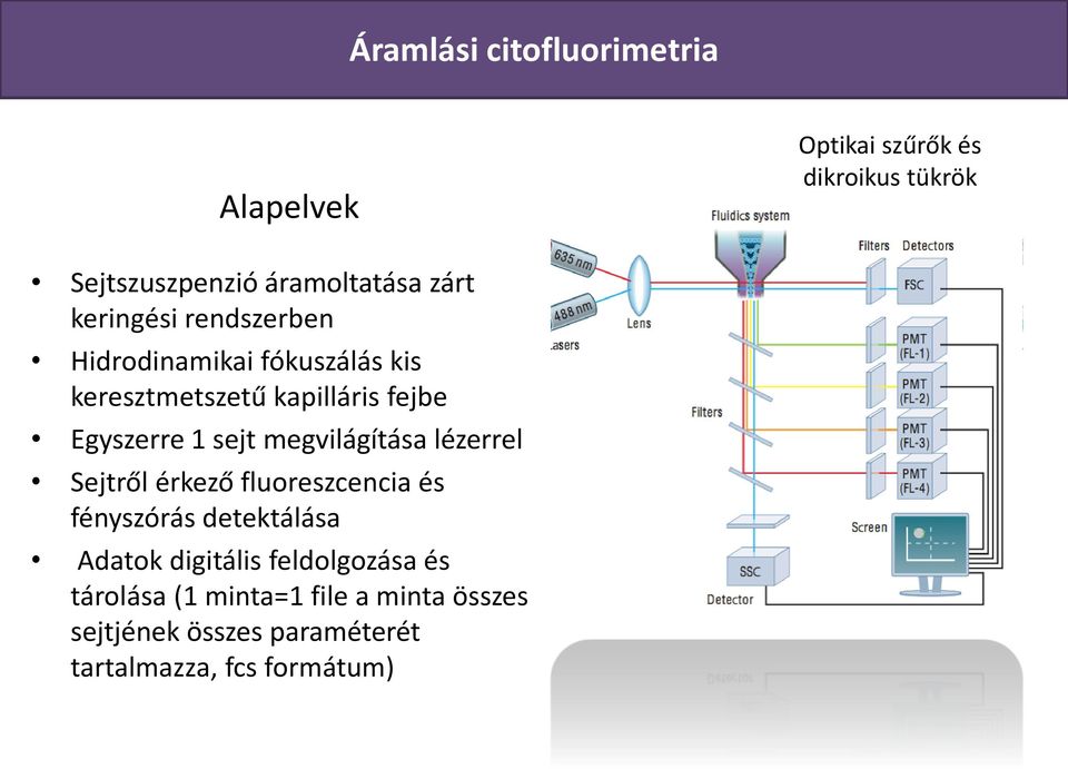 sejt megvilágítása lézerrel Sejtről érkező fluoreszcencia és fényszórás detektálása Adatok digitális