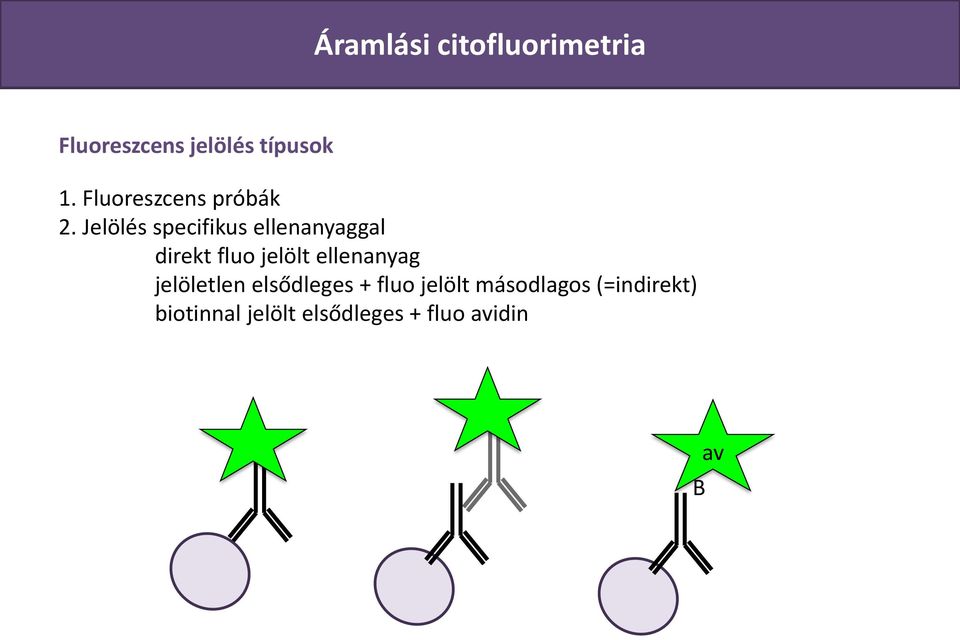 Jelölés specifikus ellenanyaggal direkt fluo jelölt ellenanyag