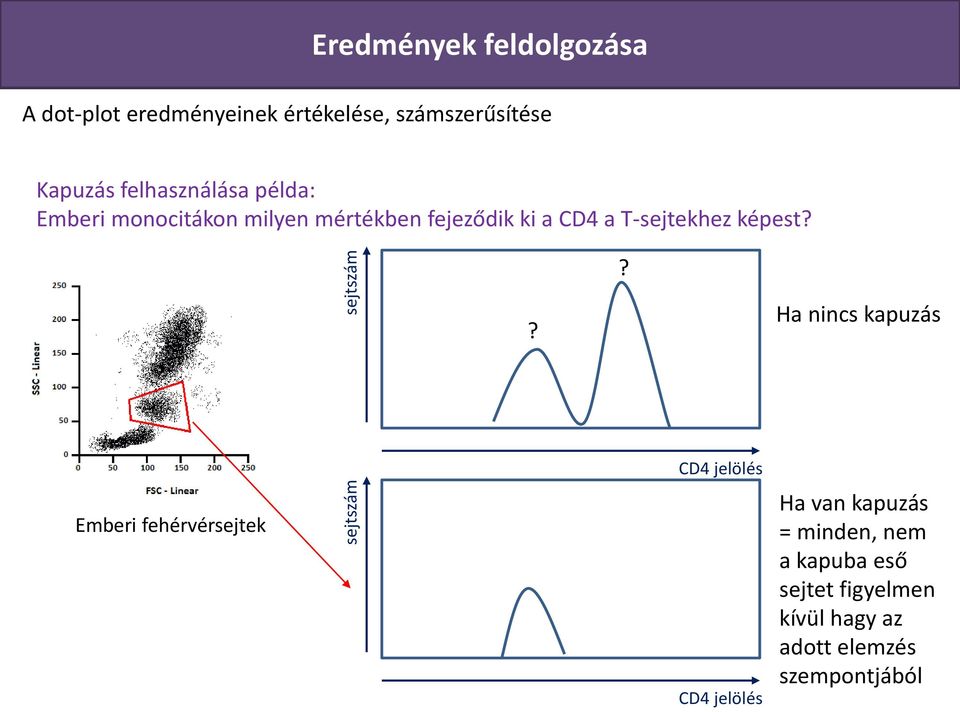 ki a CD4 a T-sejtekhez képest?