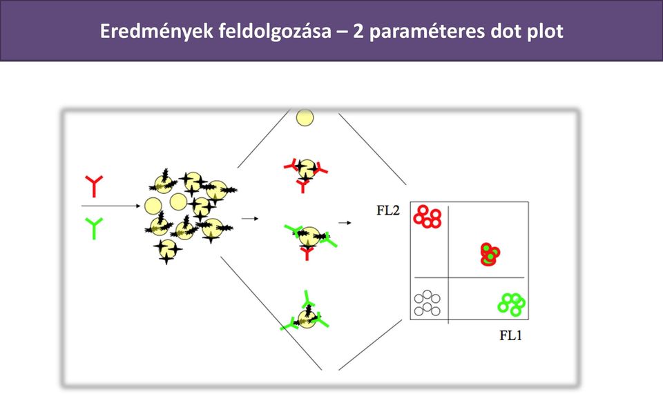 paraméteres dot