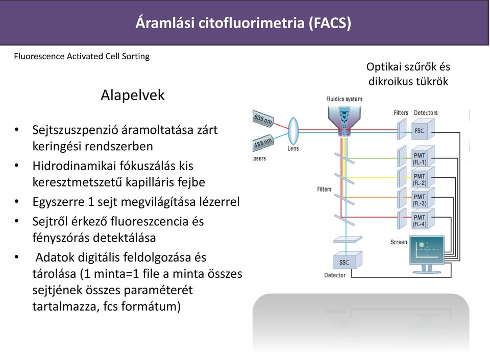 fejbe Egyszerre 1 sejt megvilágítása lézerrel Sejtről érkező fluoreszcencia és fényszórás detektálása Adatok