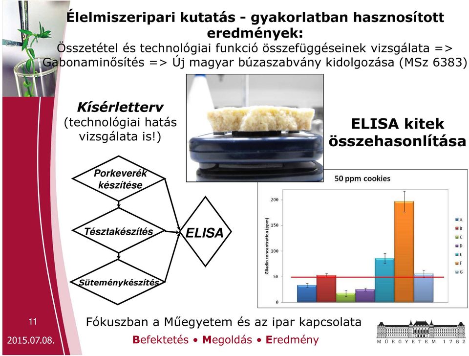 búzaszabvány kidolgozása (MSz 6383) Kísérletterv (technológiai hatás vizsgálata is!