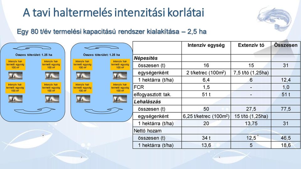 25 ha Népesítés összesen (t) 16 15 31 enként 2 t/ketrec (100m 2 ) 7,5 t/tó (1,25ha) 1 hektárra (t/ha) 6,4 6 12,4 FCR 1,5-1,0