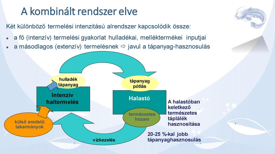 tápanyag-hasznosulás külső eredetű takarmányok hulladék tápanyag Intenzív Intenzív haltermelés vízkezelés