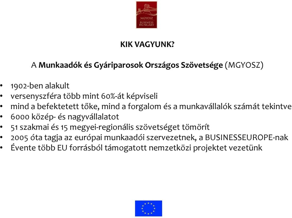 képviseli mind a befektetett tőke, mind a forgalom és a munkavállalók számát tekintve 6000 közép- és