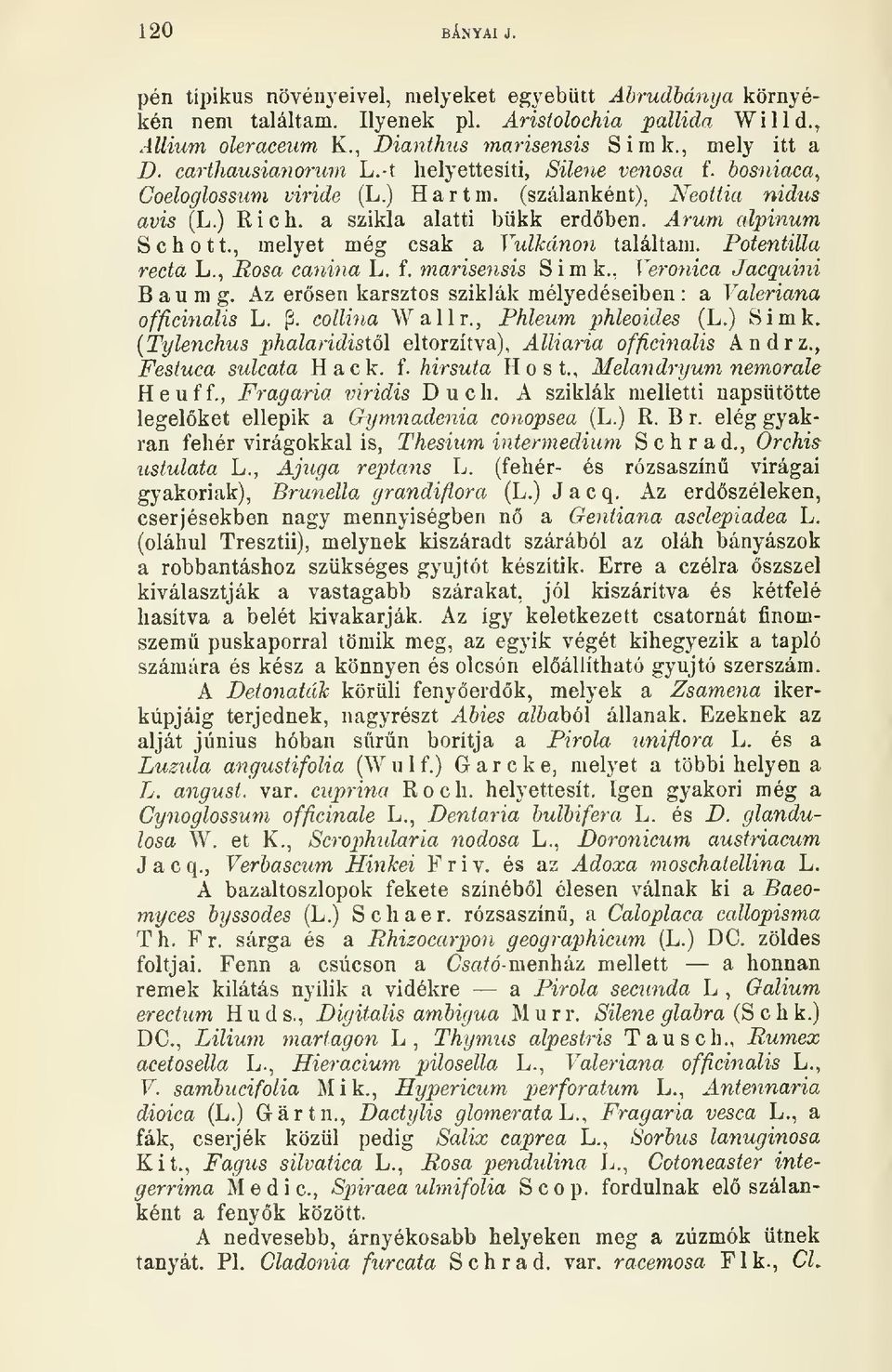 , melyet még csak a Vulkánon találtam. Potentilla recta L., Rosa canina L, f. marisensis Simk., Vero^úca Jacquini B a u m g. Az ersen karsztos sziklák mélyedéseiben : a Valeriána officiyialis L. jí.