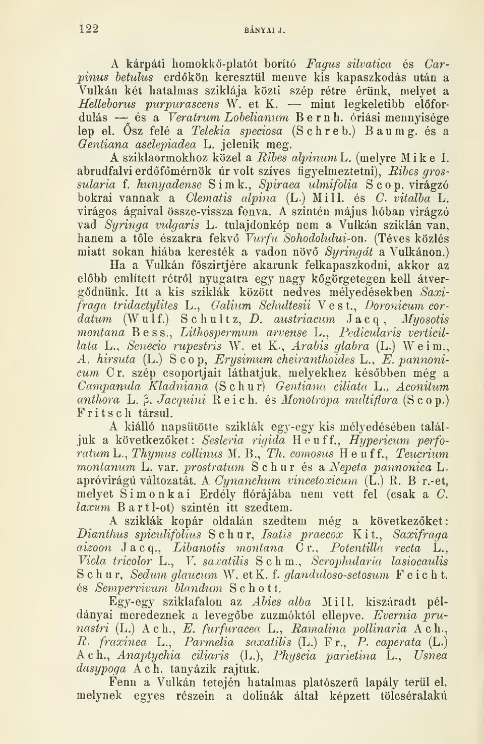 W. et K. mint legkeletibb elfordulás és a Yeratrum Lohelianum Bernh. óriási mennyisége lep el. ösz felé a Telekia speciosa (S c h r e b.) B a u m g. és a Gentiana asdepiadea L. jelenik meg.