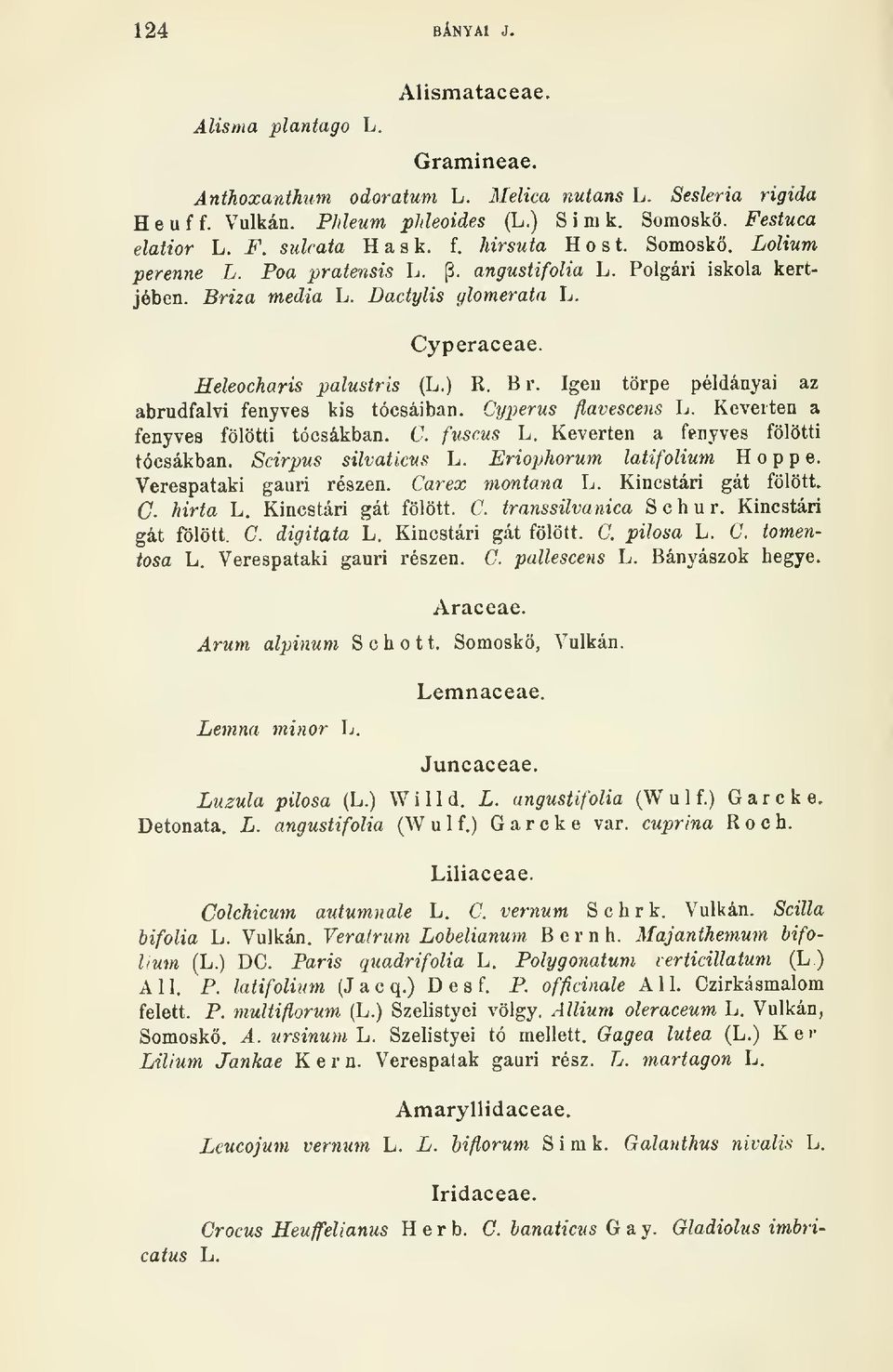 Igen törpe példányai az abrudfalvi fenyves kis tócsáiban. Cyperus flavescens L. Keverten a fenyves fölötti tócsákban. C. fuscus L. Keverten a fenyves fölötti tócsákban, Scirpus süvatkus L.
