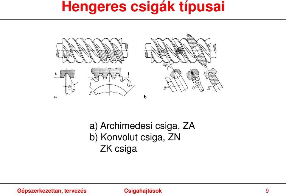 Konvolut csiga, ZN ZK csiga