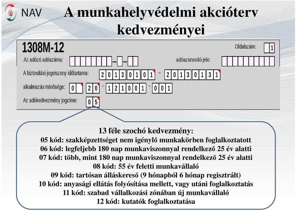 rendelkező 25 év alatti 08 kód: 55 év feletti munkavállaló 09 kód: tartósan álláskereső (9 hónapból 6 hónap regisztrált) 10 kód: