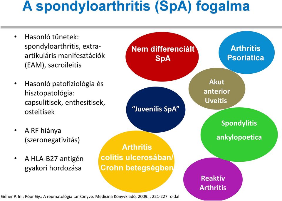 (szeronegativitás) A HLA-B27 antigén gyakori hordozása Juvenilis SpA Arthritis colitis ulcerosában/ Crohn betegségben Géher P. In.