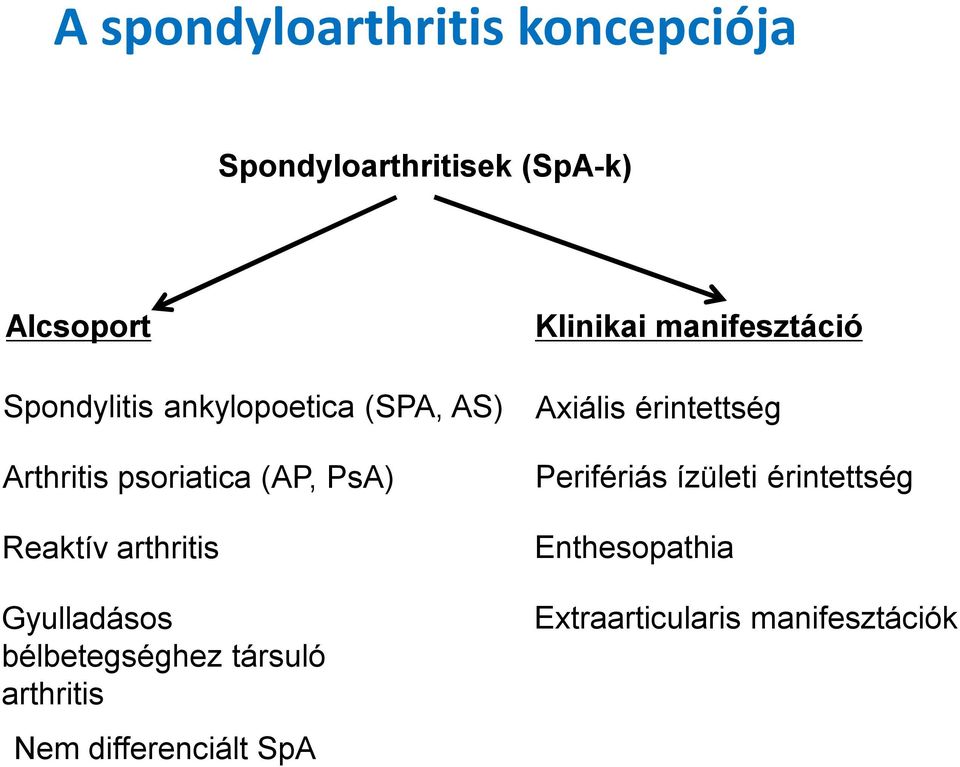 bélbetegséghez társuló arthritis Nem differenciált SpA Klinikai manifesztáció Axiális