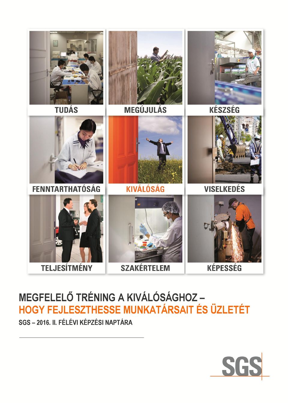 FEJLESZTHESSE MUNKATÁRSAIT